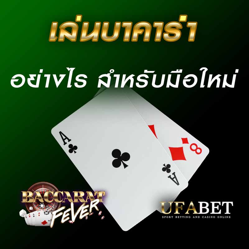 มือใหม่ เริ่มเล่นบาคาร่า