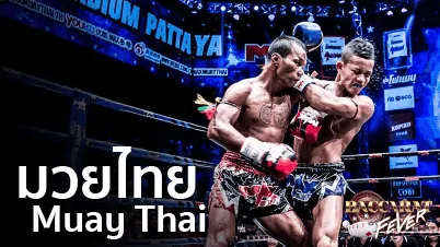 แทงมวยออนไลน์ Muay Thai