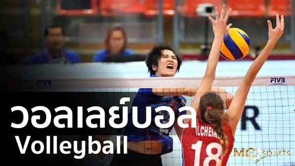 วอลเลย์บอล